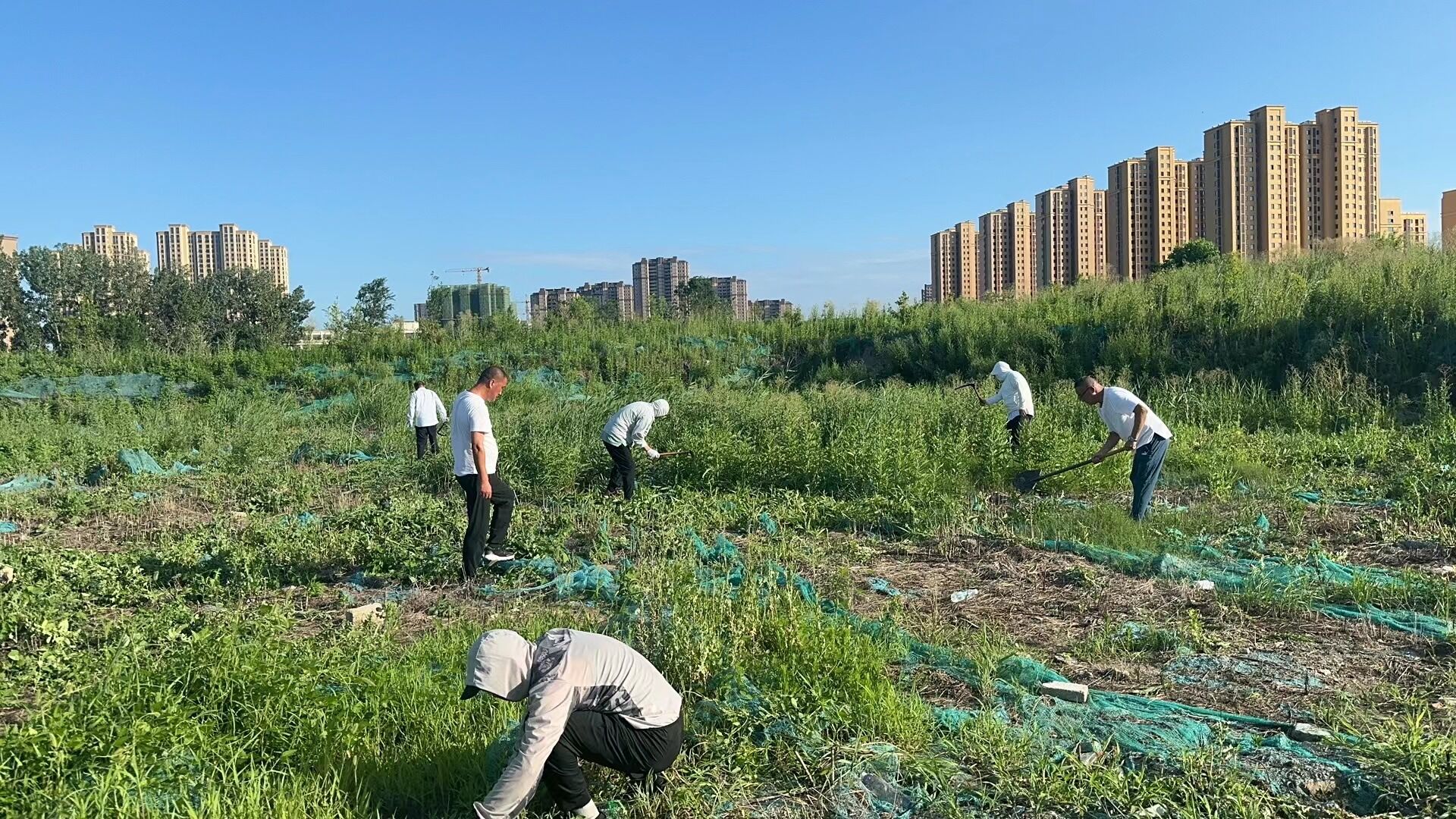 澳门六之家下载